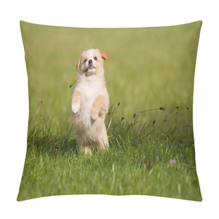 Personality  Funny Puppy Pillow Covers