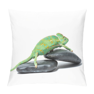 Personality  Side View Of Cute Colorful Tropical Chameleon On Stones Isolated On White  Pillow Covers