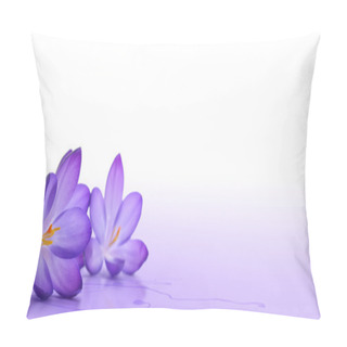 Personality  Crocus Flower Pillow Covers