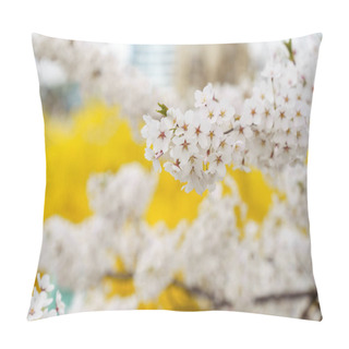 Personality  Prunus Yedoensis, Somei-yoshino Or Yoshino Cherry Is One Of The Most Popular And Widely Planted Cherry Cultivars In Temperate Regions Around The World Pillow Covers