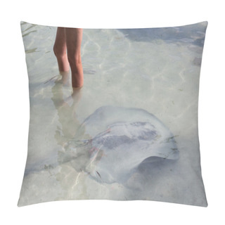Personality  Stingray In Shallow Water Pillow Covers