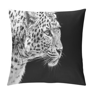 Personality  Portrait Of Amur Leopard In Black And White Pillow Covers