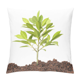 Personality  Green Sprout Growing Pillow Covers