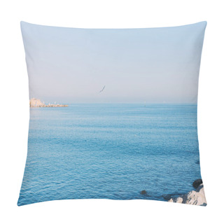 Personality  BARCELONA, SPAIN - DECEMBER 28, 2018: Scenic View Of Tranquil Sea And Clear Blue Sky Pillow Covers