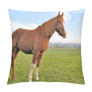 Personality  A Chestnut Horse Look Great Pillow Covers