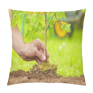 Personality  Hand Planting Small Tree With Roots In A Garden Pillow Covers