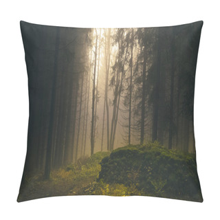 Personality  Foggy Forest, Light Coming Through Trees, Stones, Moss, Wood Fern, Spruce Trees. Gloomy Magical Landscape At Autumn/fall. Jeseniky Mountains, Eastern Europe, Moravia.  Pillow Covers