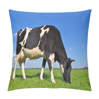 Personality  Cow On A Summer Pasture. Pillow Covers