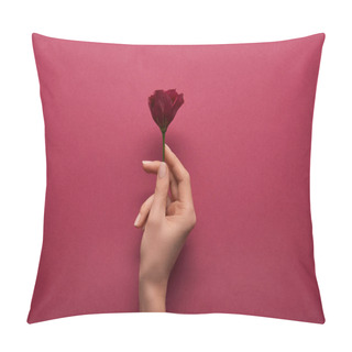 Personality  Cropped View Of Woman Holding Flower In Hand On Ruby Background  Pillow Covers