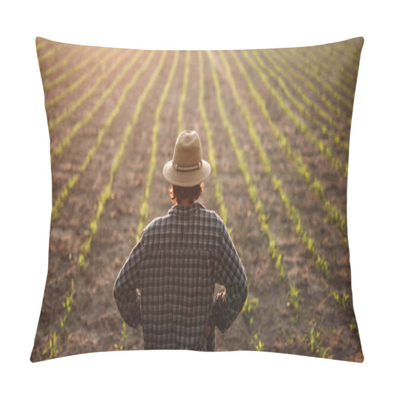 Personality  Farmer standing on field with young growth pillow covers