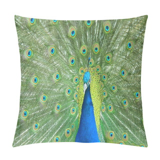 Personality  Beautiful Peacock Spread The Tail Feathers Pillow Covers