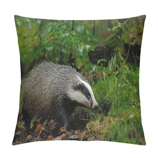 Personality  European Badger In The Forest Pillow Covers