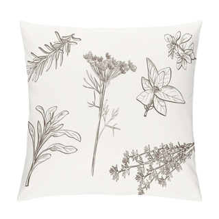 Personality  Herb Spice Pillow Covers