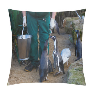 Personality  Zookeeper Feeding The Penguins Pillow Covers