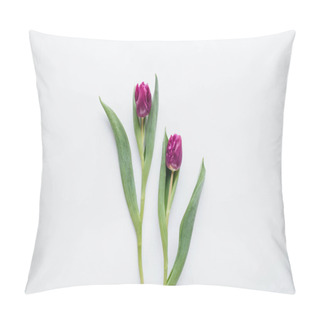 Personality  Top View Of Two Pink Tulips, Isolated On White Pillow Covers