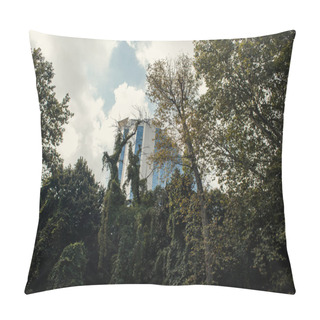 Personality  Trees And Plants With Building And Sky At Background On Street In Istanbul, Turkey  Pillow Covers