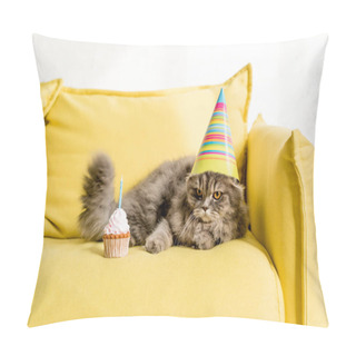 Personality  Cute And Grey Cat In Party Cap Lying On Bright Yellow Couch With Birthday Cupcake In Apartment Pillow Covers