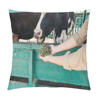 Personality  Farmer Feeding Cows In Stall  Pillow Covers