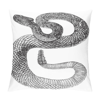 Personality  South American Rattlesnake Or Tropical Rattlesnake Or Crotalus D Pillow Covers