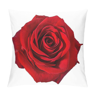 Personality  Rose Isolated On White Background Pillow Covers