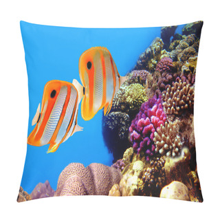 Personality  Copperband Butterflyfish Pillow Covers