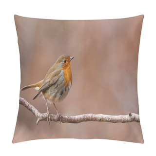 Personality  European Robin Pillow Covers