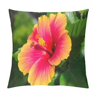 Personality  Fresh Hibiscus Yellow Flower In Garden Pillow Covers