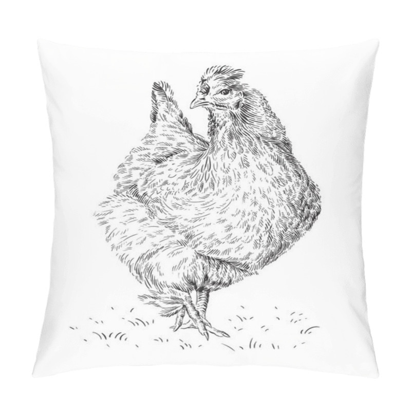 Personality  chicken hand drawing sketch engraving illustration style pillow covers