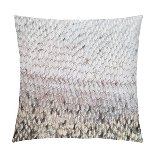Personality  The Fish Scale Close Up. Pillow Covers