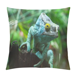 Personality  Green Chameleon Pillow Covers