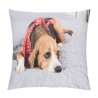 Personality  Sad Beagle Dog Pillow Covers