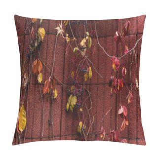 Personality  Selective Focus Of Colorful Autumnal Leaves With Grapes Near Red Wall  Pillow Covers