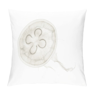 Personality  Aurelia Aurita Also Called The Common Jellyfish Against White Ba Pillow Covers