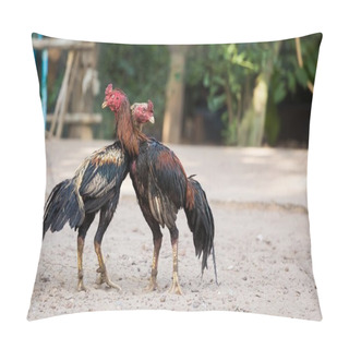 Personality  Two Cocks Or Roosters Fighting Pillow Covers