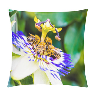 Personality   Four Bees On Common Passion Flower, Macro Color Photo Of Passiflora Caerulea Pillow Covers