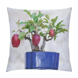 Personality  Apple Bonsai Tree (Malus Domestica) Against A Stone Wall Pillow Covers