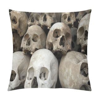 Personality  Skulls Pillow Covers