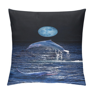 Personality  Dolphins Pillow Covers