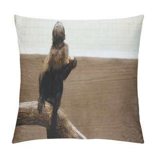 Personality  Wild Furry Monkey Sitting On Wooden Branch And Holding Potato In Zoo  Pillow Covers