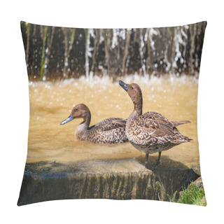 Personality  A Beautiful Female Duck Stands On The Edge Of A Pond. Pillow Covers