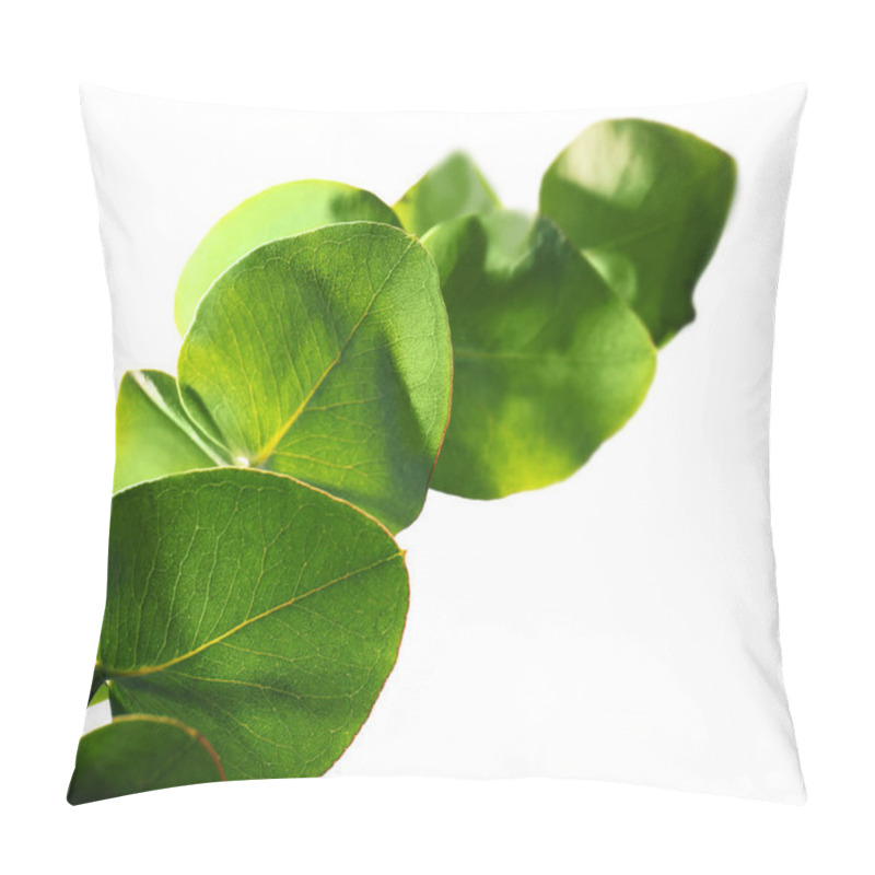 Personality  Exotic green leaves  pillow covers