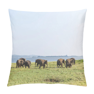 Personality  Wild Elephants Pillow Covers