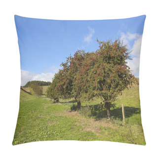 Personality  Hawthorn Hedgerow Pillow Covers