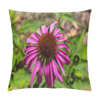 Personality  A Close-up Of The Flower. Purple Flower. Gerbera. Camomile. Pillow Covers
