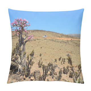 Personality  Bottle Tree  (desert Rose - Adenium Obesum) On The Plateau Mumi, Yemen, Socotra Pillow Covers
