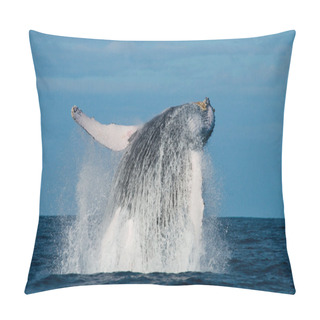 Personality  Whale Jumping In The Air Pillow Covers