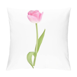 Personality  Pink Tulip Flower Pillow Covers