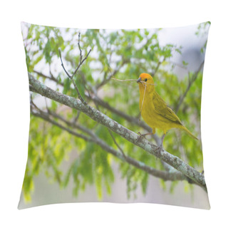 Personality  Small Bird Holding Branch With The Beak  Pillow Covers