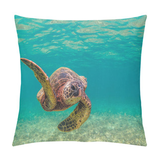 Personality  Hawaiian Green Sea Turtle Cruising In The Warm Waters Of The Pacific Ocean In Hawaii Pillow Covers