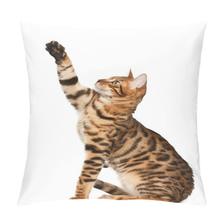 Personality  Bengal Cat Pillow Covers